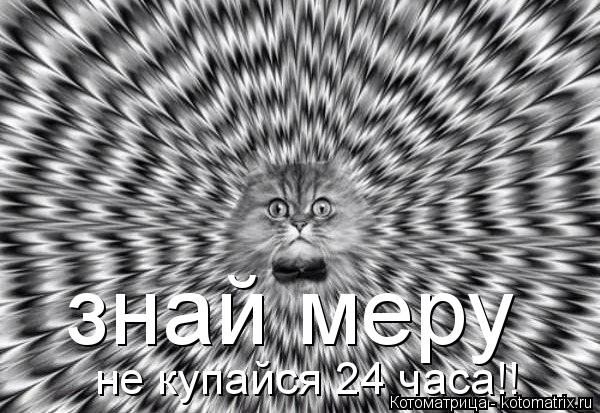 знай меру не купайся 24 часа!!... Котоматрица: знай меру не купайся 24 часа!!
