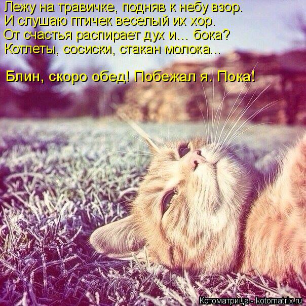 Лежу на травичке, подняв к небу взор. И слушаю птичек веселый их хор. От счастья распирает дух и… бок... Котоматрица: Лежу на травичке, подняв к небу взор. И слушаю птичек веселый их хор. От счастья распирает дух и… бока? Котлеты, сосиски, стакан молока... Блин
