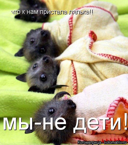 что к нам пристала лялька!! мы-не дети!... Котоматрица: что к нам пристала лялька!! мы-не дети!
