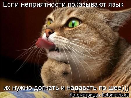 Если неприятности показывают язык их нужно догнать и надавать по шее)))... Котоматрица: Если неприятности показывают язык их нужно догнать и надавать по шее)))