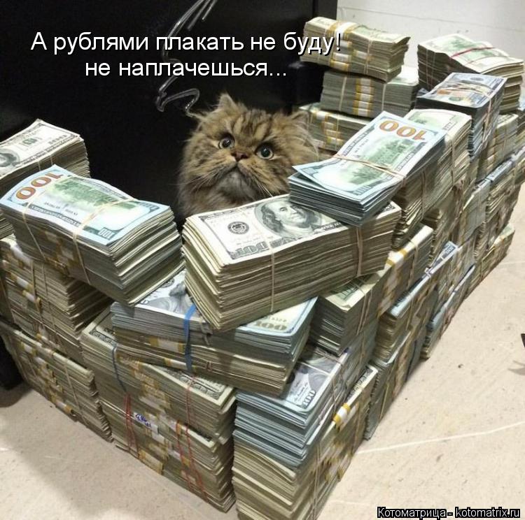 А рублями плакать не буду! не наплачешься...... Котоматрица: А рублями плакать не буду! не наплачешься...