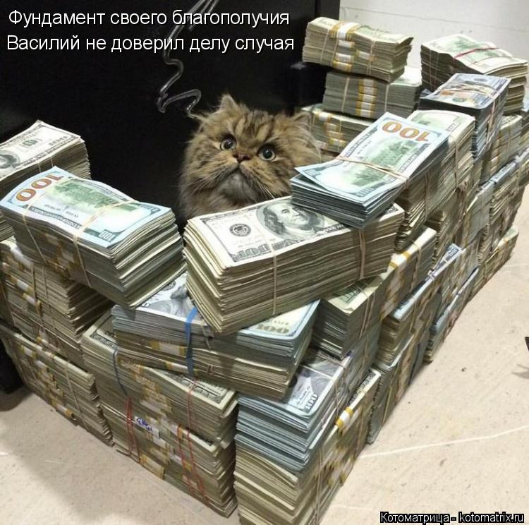 Фундамент своего благополучия Василий не доверил делу случая... Котоматрица: Фундамент своего благополучия Василий не доверил делу случая
