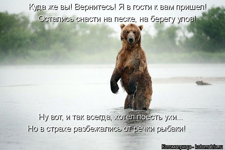Ну вот, и так всегда, хотел поесть ухи... Но в страхе разбежались от речки рыбаки! Куда же вы! Вернит... Котоматрица: Ну вот, и так всегда, хотел поесть ухи... Но в страхе разбежались от речки рыбаки! Куда же вы! Вернитесь! Я в гости к вам пришел! Остались снасти