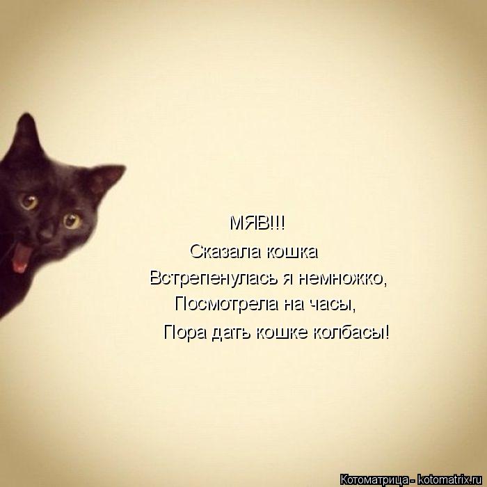 МЯВ!!! Сказала кошка Встрепенулась я немножко, Посмотрела на часы, Пора дать кошке колбасы!... Котоматрица: МЯВ!!! Сказала кошка Встрепенулась я немножко, Посмотрела на часы, Пора дать кошке колбасы!