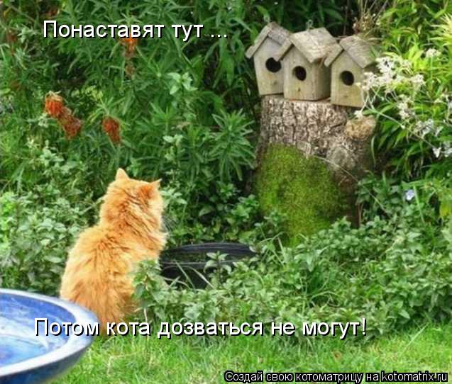 Понаставят тут ... Потом кота дозваться не могут!... Котоматрица: Понаставят тут ... Потом кота дозваться не могут!