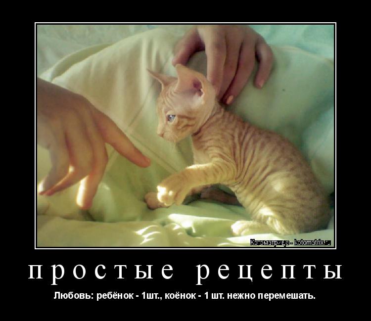 простые рецепты Любовь: ребёнок - 1шт., коёнок - 1 шт. нежно перемешать.... Котоматрица: простые рецепты Любовь: ребёнок - 1шт., коёнок - 1 шт. нежно перемешать.