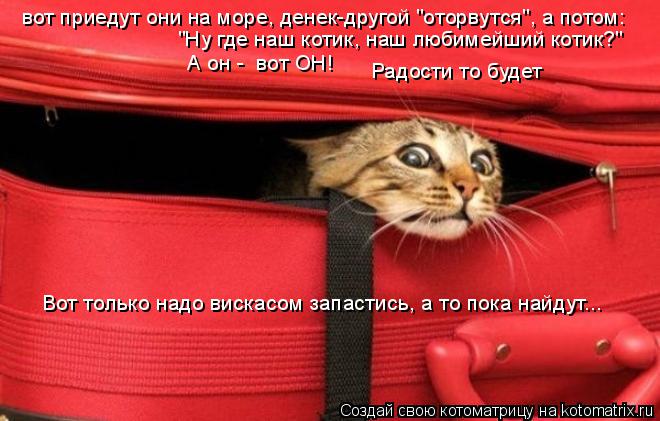 вот приедут они на море, денек-другой "оторвутся", а потом: "Ну где наш котик, наш любимейший котик?"... Котоматрица: вот приедут они на море, денек-другой "оторвутся", а потом: "Ну где наш котик, наш любимейший котик?" А он - вот ОН! Радости то будет Вот только