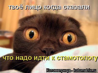 твоё лицо когда сказали что надо идти к стамотологу... Котоматрица: твоё лицо когда сказали что надо идти к стамотологу