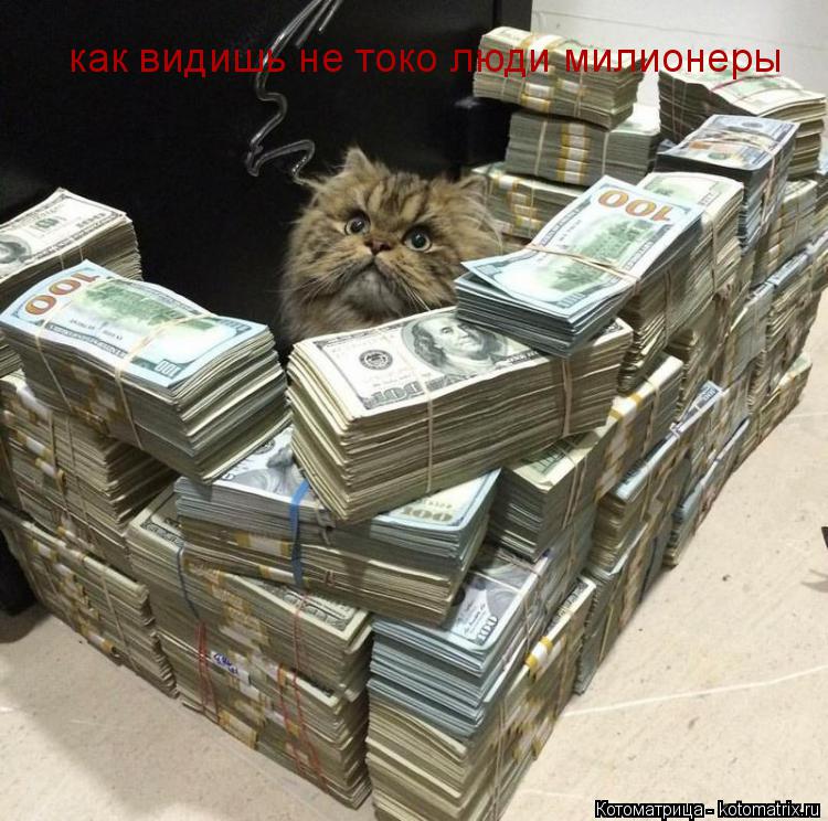 как видишь не токо люди милионеры... Котоматрица: как видишь не токо люди милионеры