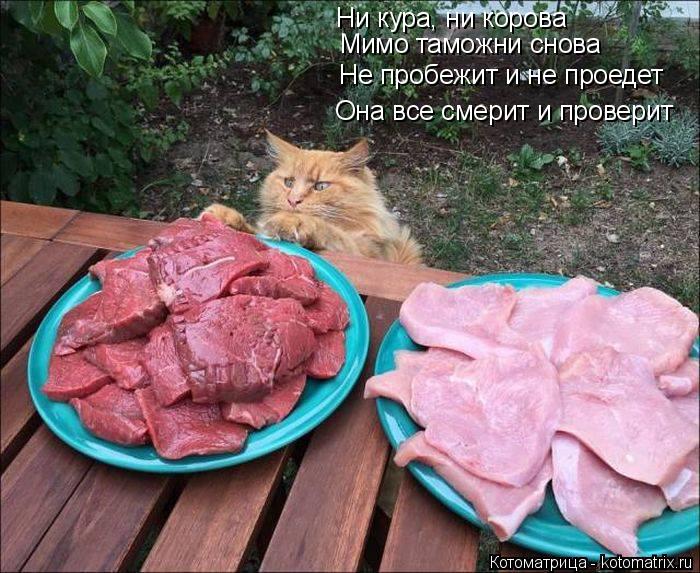 Ни кура, ни корова Мимо таможни снова Не пробежит и не проедет Она все смерит и проверит... Котоматрица: Ни кура, ни корова Мимо таможни снова Не пробежит и не проедет Она все смерит и проверит