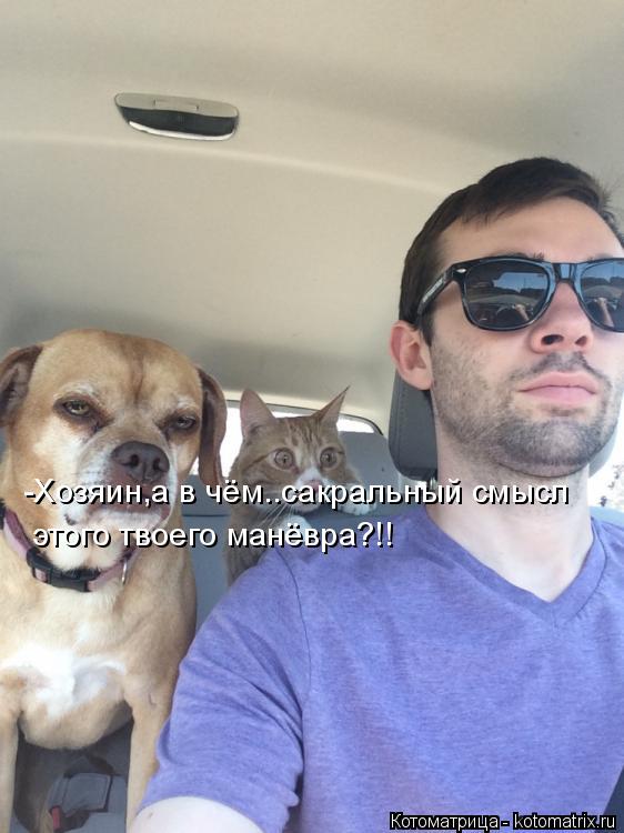 -Хозяин,а в чём..сакральный смысл этого твоего манёвра?!!... Котоматрица: -Хозяин,а в чём..сакральный смысл этого твоего манёвра?!!