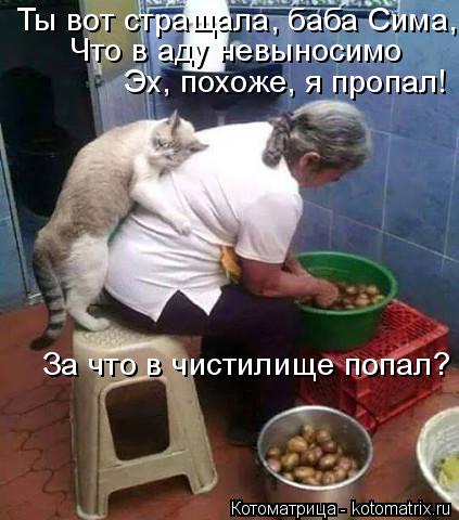 За что в чистилище попал? Эх, похоже, я пропал! Ты вот стращала, баба Сима, Что в аду невыносимо... Котоматрица: За что в чистилище попал? Эх, похоже, я пропал! Ты вот стращала, баба Сима, Что в аду невыносимо
