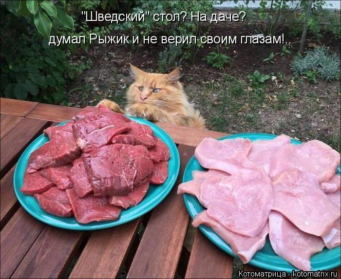"Шведский" стол? На даче? думал Рыжик и не верил своим глазам!..... Котоматрица: "Шведский" стол? На даче? думал Рыжик и не верил своим глазам!..