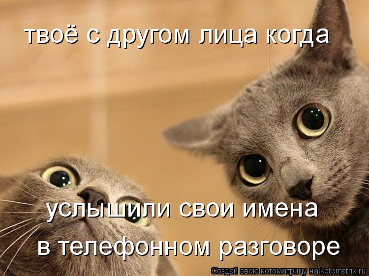 твоё с другом лица когда услышили свои имена в телефонном разговоре... Котоматрица: твоё с другом лица когда услышили свои имена в телефонном разговоре