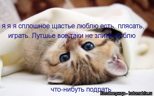 я я я сплошное щастье люблю есть, плясать, играть. Лутшье все таки не злите люблю что-нибуть подрать... Котоматрица: я я я сплошное щастье люблю есть, плясать, играть. Лутшье все таки не злите люблю что-нибуть подрать