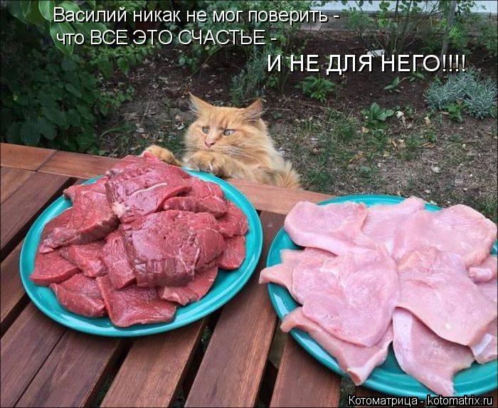 Василий никак не мог поверить - что ВСЕ ЭТО СЧАСТЬЕ - И НЕ ДЛЯ НЕГО!!!!... Котоматрица: Василий никак не мог поверить - что ВСЕ ЭТО СЧАСТЬЕ - И НЕ ДЛЯ НЕГО!!!!