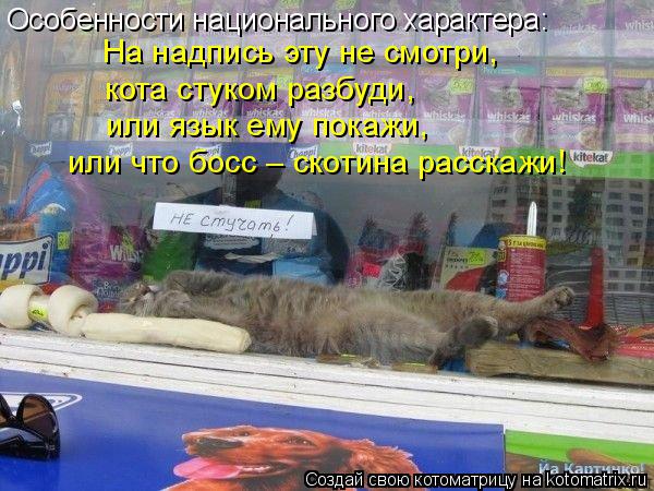 Особенности национального характера: На надпись эту не смотри, кота стуком разбуди, или язык ему пока... Котоматрица: Особенности национального характера: На надпись эту не смотри, кота стуком разбуди, или язык ему покажи, или что босс – скотина расскажи!