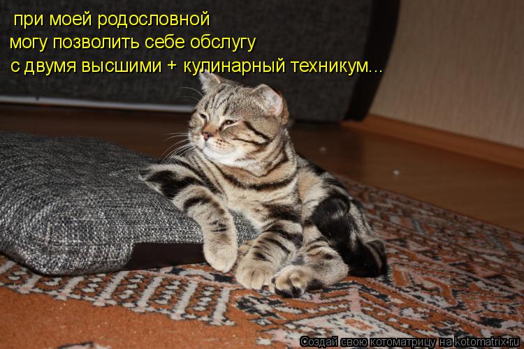 при моей родословной могу позволить себе обслугу с двумя высшими + кулинарный техникум...... Котоматрица: при моей родословной могу позволить себе обслугу с двумя высшими + кулинарный техникум...