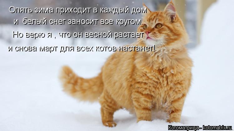 Опять зима приходит в каждый дом и белый снег заносит все кругом. Но верю я , что он весной растает... Котоматрица: Опять зима приходит в каждый дом и белый снег заносит все кругом. Но верю я , что он весной растает и снова март для всех котов настанет!