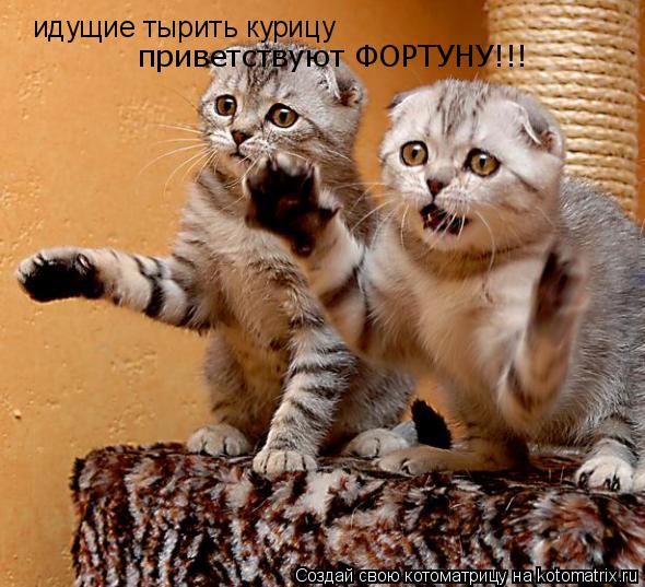 идущие тырить курицу приветствуют ФОРТУНУ!!!... Котоматрица: идущие тырить курицу приветствуют ФОРТУНУ!!!