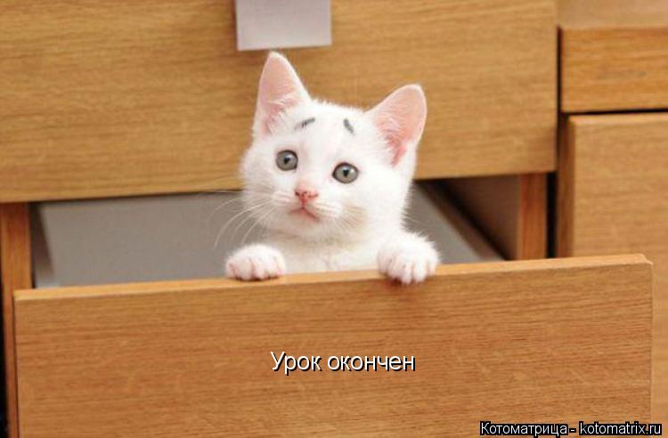 Урок окончен... Котоматрица: Урок окончен