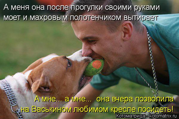 А меня она после прогулки своими руками моет и махровым полотенчиком вытирает А мне... а мне... она ... Котоматрица: А меня она после прогулки своими руками моет и махровым полотенчиком вытирает А мне... а мне... она вчера позволила на Васькином любимом кре
