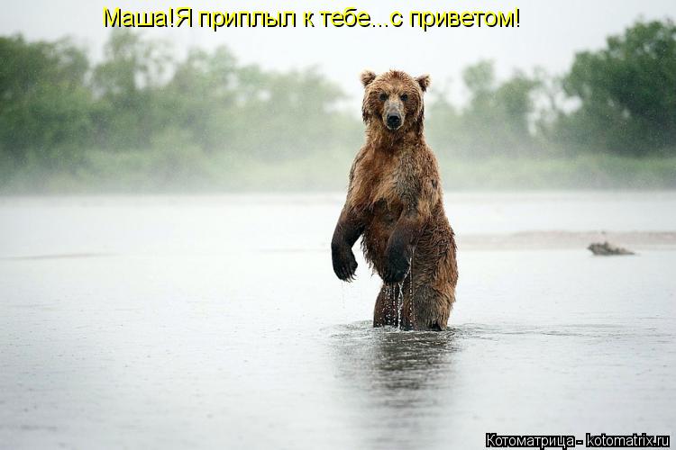 Маша!Я приплыл к тебе...с приветом!... Котоматрица: Маша!Я приплыл к тебе...с приветом!