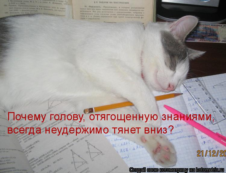 Почему голову, отягощенную знаниями, всегда неудержимо тянет вниз?... Котоматрица: Почему голову, отягощенную знаниями, всегда неудержимо тянет вниз?