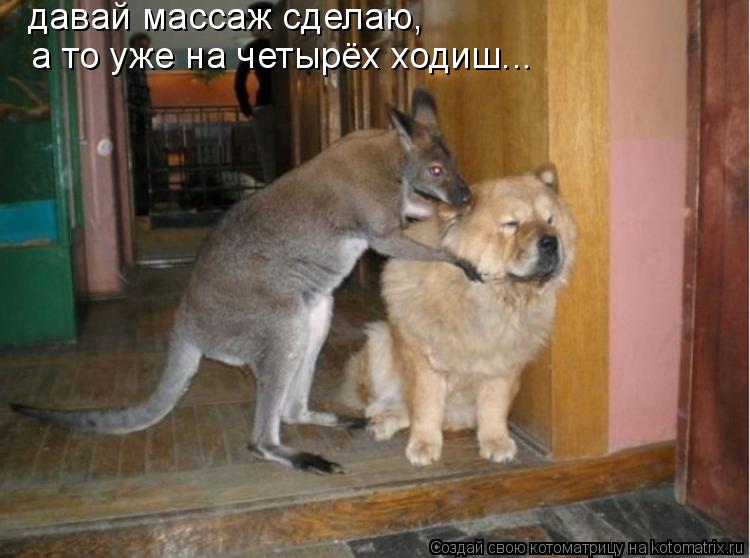давай массаж сделаю, а то уже на четырёх ходиш...... Котоматрица: давай массаж сделаю, а то уже на четырёх ходиш...