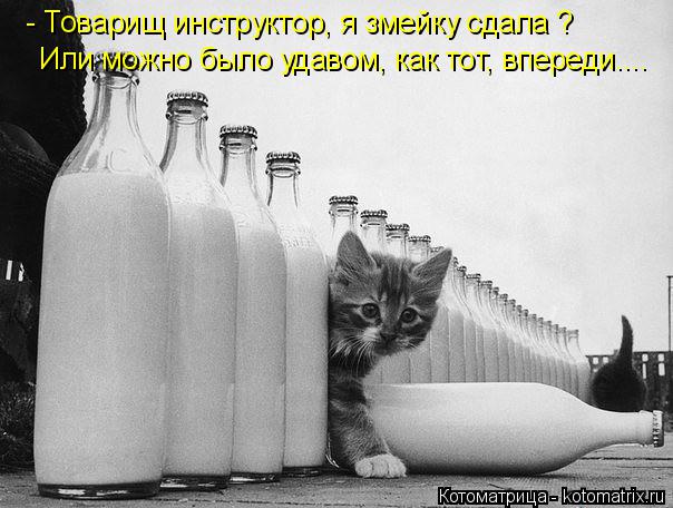 - Товарищ инструктор, я змейку сдала ? Или можно было удавом, как тот, впереди....... Котоматрица: - Товарищ инструктор, я змейку сдала ? Или можно было удавом, как тот, впереди....