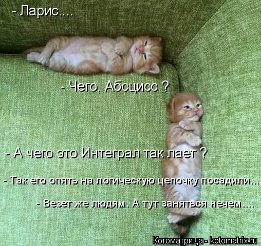 - Ларис.... - Чего, Абсцисс ? - А чего это Интеграл так лает ? - Так его опять на логическую цепочку ... Котоматрица: - Ларис.... - Чего, Абсцисс ? - А чего это Интеграл так лает ? - Так его опять на логическую цепочку посадили.... - Везет же людям. А тут заняться неч