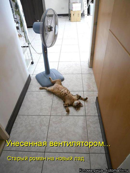 Унесенная вентилятором... Старый роман на новый лад... Котоматрица: Унесенная вентилятором... Старый роман на новый лад
