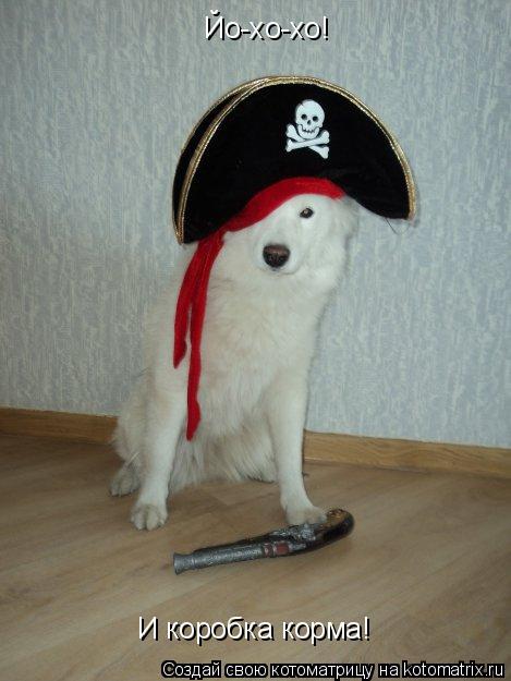 Йо-хо-хо! И коробка корма!... Котоматрица: Йо-хо-хо! И коробка корма!