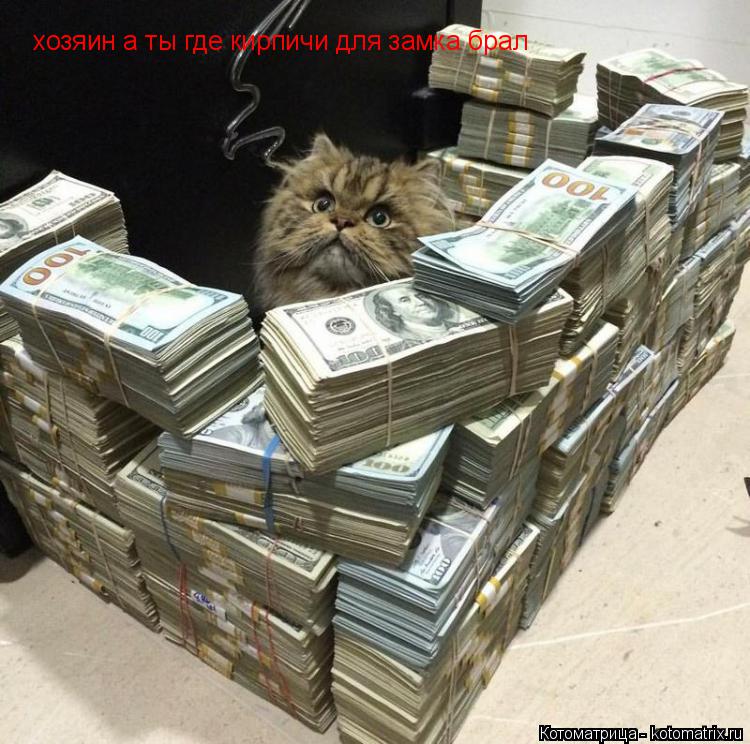 хозяин а ты где кирпичи для замка брал... Котоматрица: хозяин а ты где кирпичи для замка брал
