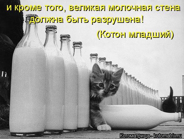 и кроме того, великая молочная стена должна быть разрушена! (Котон младший)... Котоматрица: и кроме того, великая молочная стена должна быть разрушена! (Котон младший)