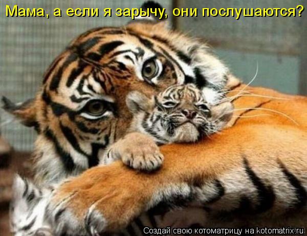 Мама, а если я зарычу, они послушаются?... Котоматрица: Мама, а если я зарычу, они послушаются?
