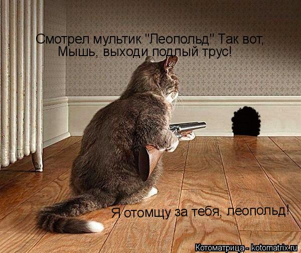 Смотрел мультик "Леопольд" Так вот, Мышь, выходи подлый трус! Я отомщу за тебя, леопольд!... Котоматрица: Смотрел мультик "Леопольд" Так вот, Мышь, выходи подлый трус! Я отомщу за тебя, леопольд!