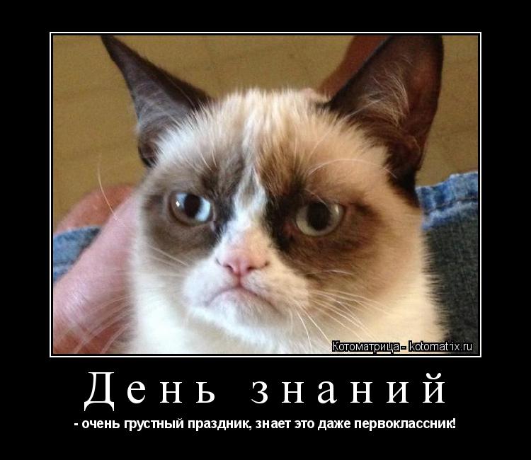 День знаний - очень грустный праздник, знает это даже первоклассник!... Котоматрица: День знаний - очень грустный праздник, знает это даже первоклассник!