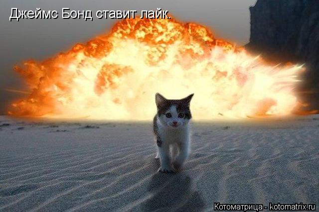 Джеймс Бонд ставит лайк.... Котоматрица: Джеймс Бонд ставит лайк.