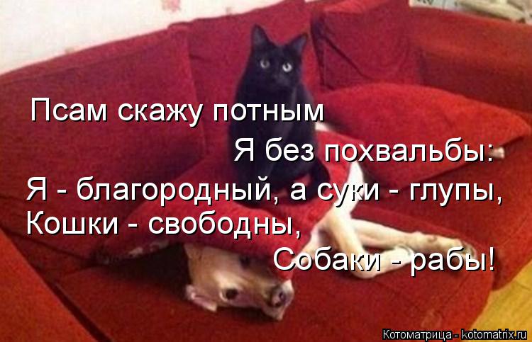 Псам скажу потным Я - благородный, а суки - глупы, Кошки - свободны, Собаки - рабы! Я без похвальбы:... Котоматрица: Псам скажу потным Я - благородный, а суки - глупы, Кошки - свободны, Собаки - рабы! Я без похвальбы: