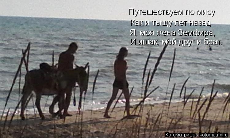 И ишак, мой друг и брат. Я, моя жена Земфира, Как и тыщу лет назад Путешествуем по миру... Котоматрица: И ишак, мой друг и брат. Я, моя жена Земфира, Как и тыщу лет назад Путешествуем по миру