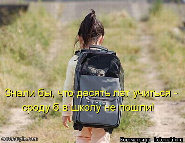 Знали бы, что десять лет учиться - сроду б в школу не пошли!... Котоматрица: Знали бы, что десять лет учиться - сроду б в школу не пошли!