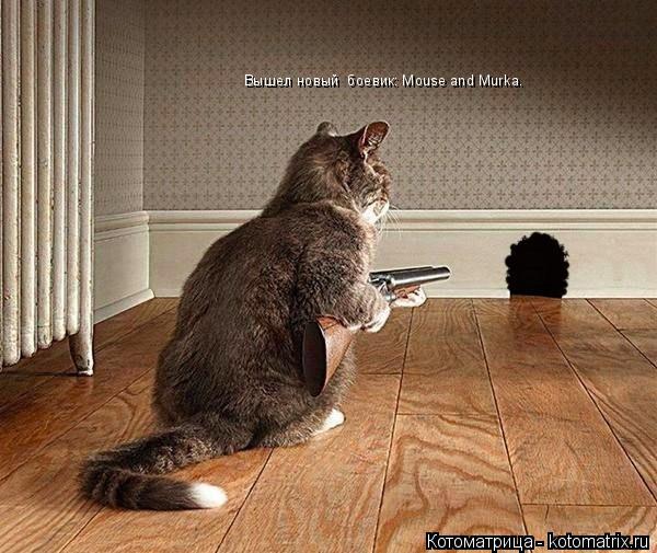 Вышел новый боевик: Mouse and Murka.... Котоматрица: Вышел новый боевик: Mouse and Murka.