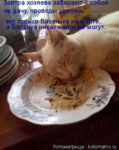 Завтра хозяева забирают с собой на дачу, проводы удались вот только Васенька на месте, а Барсика ника... Котоматрица: Завтра хозяева забирают с собой на дачу, проводы удались вот только Васенька на месте, а Барсика никак найти не могут.