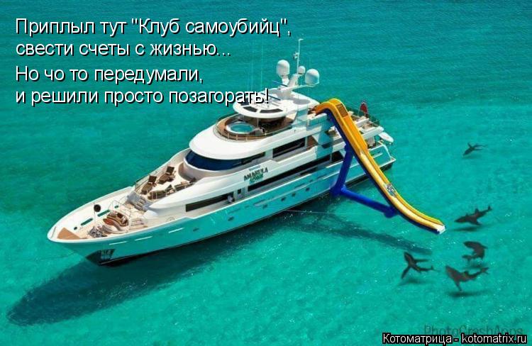 Приплыл тут "Клуб самоубийц", свести счеты с жизнью... Но чо то передумали, и решили просто позагора... Котоматрица: Приплыл тут "Клуб самоубийц", свести счеты с жизнью... Но чо то передумали, и решили просто позагорать!