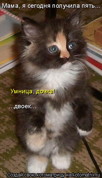 Мама, я сегодня получила пять... Умница, дочка! ...двоек...... Котоматрица: Мама, я сегодня получила пять... Умница, дочка! ...двоек...