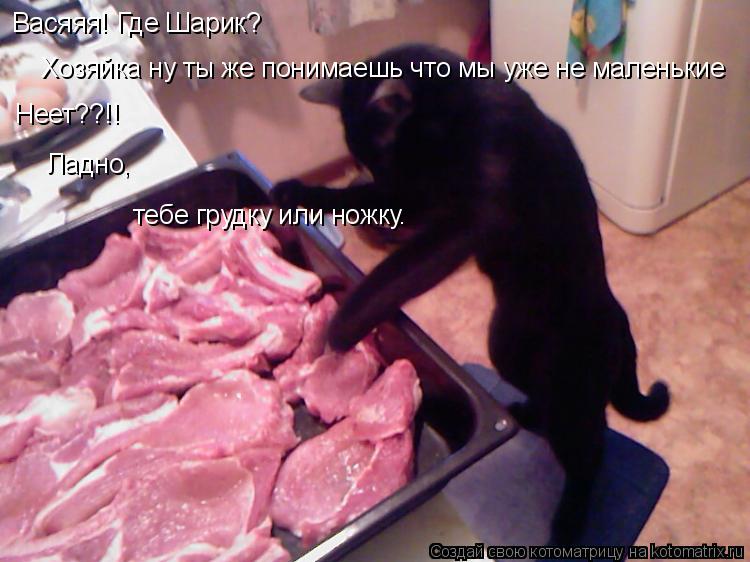 Васяяя! Где Шарик? Хозяйка ну ты же понимаешь что мы уже не маленькие Неет??!! Ладно, тебе грудку или... Котоматрица: Васяяя! Где Шарик? Хозяйка ну ты же понимаешь что мы уже не маленькие Неет??!! Ладно, тебе грудку или ножку.