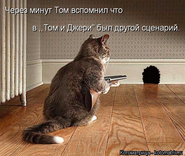 Через минут Том вспомнил что в ,,Том и Джери" был другой сценарий.... Котоматрица: Через минут Том вспомнил что в ,,Том и Джери" был другой сценарий.