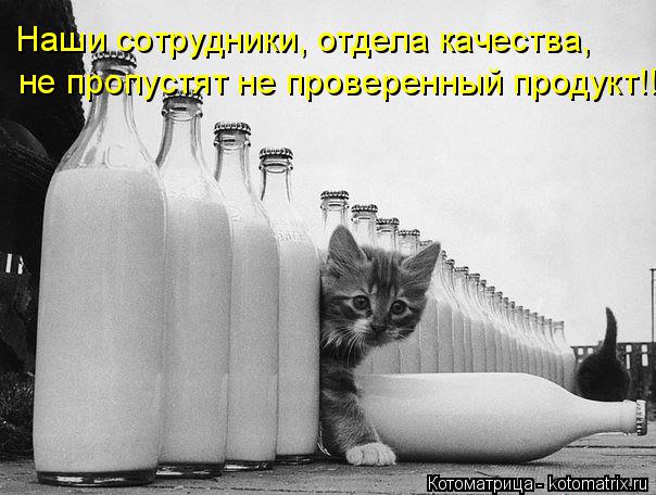 Наши сотрудники, отдела качества, не пропустят не проверенный продукт!!... Котоматрица: Наши сотрудники, отдела качества, не пропустят не проверенный продукт!!