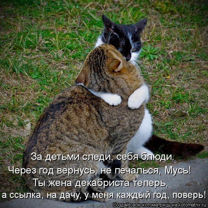 За детьми следи, себя блюди. Через год вернусь, не печалься, Мусь! Ты жена декабриста теперь, а ссылк... Котоматрица: За детьми следи, себя блюди. Через год вернусь, не печалься, Мусь! Ты жена декабриста теперь, а ссылка, на дачу, у меня каждый год, поверь!